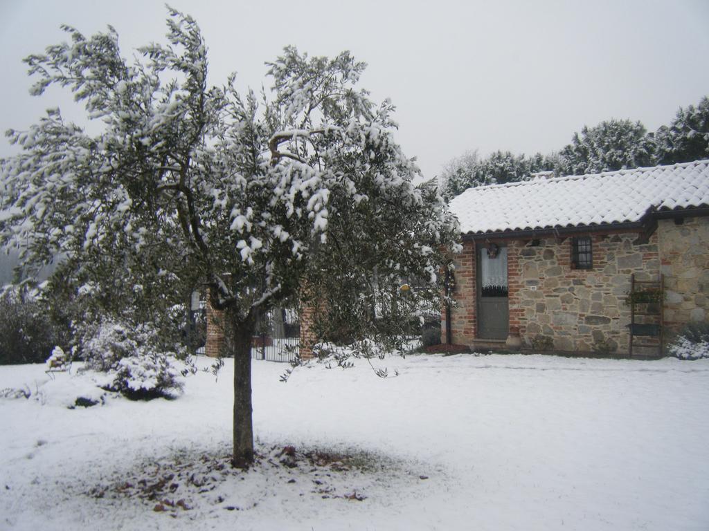 B&B Il Salice Veruno Exterior photo